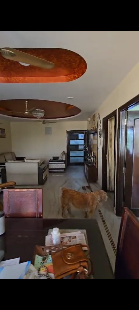 3+1 bhk