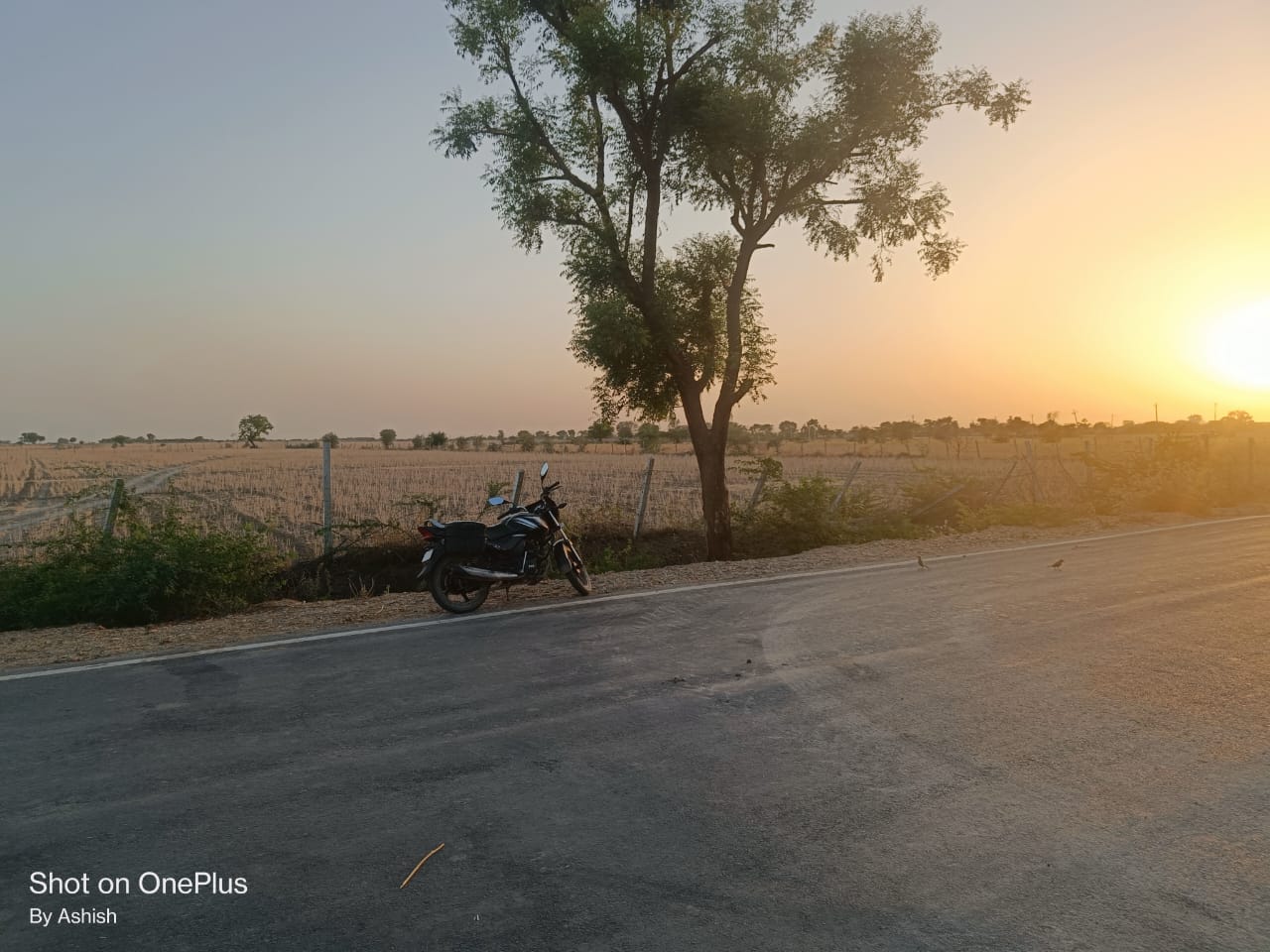 1.42 hectare land