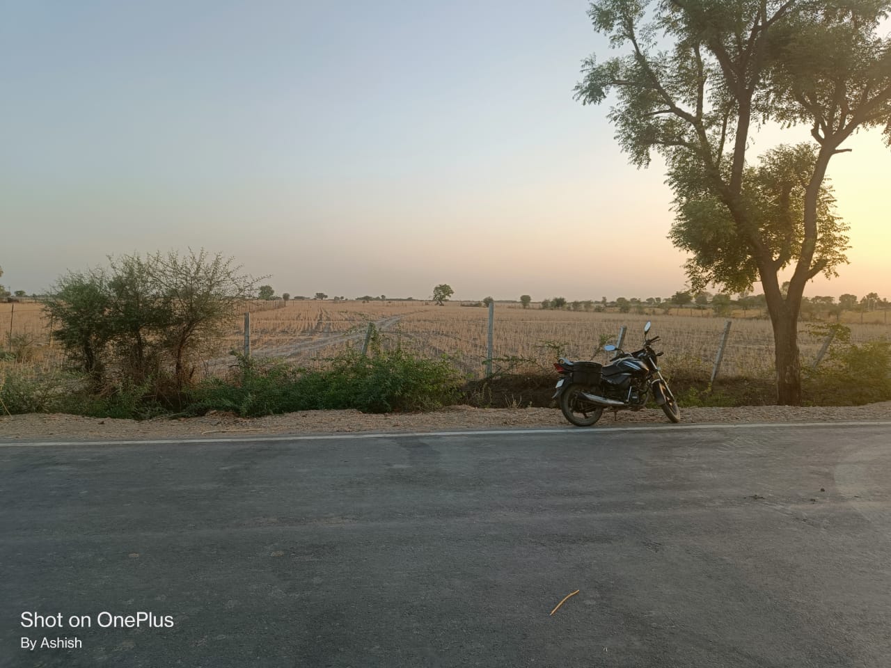 1.42  hectare land